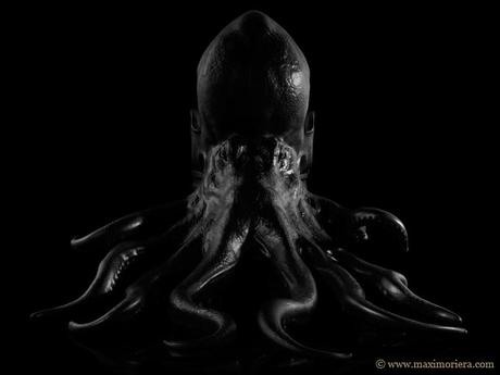 Máximo Riera – Silla pulpo Máximo Riera – Silla pulpo