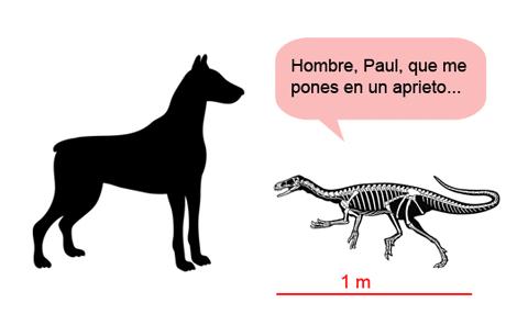 Tamaño Real: Eodromaeus vs. doberman