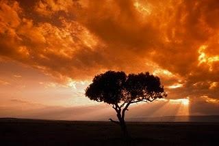 PAPÁ EN EL FÍN DEL MUNDO, DE FRANCISCO MARTÍN. CONDUCTISMO Y BONDAD.