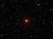 joya estelar: Superba