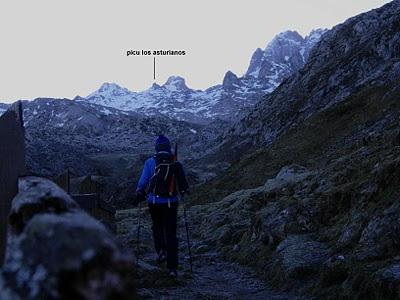 picu los asturianos
