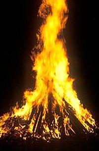 La inquisición darwinista