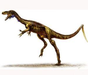 Nueva especie de dinosaurio descubierta en Argentina podría ser el primer dinosaurio que pobló la Tierra