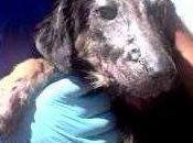 Thor lucha tiene tener recompensa