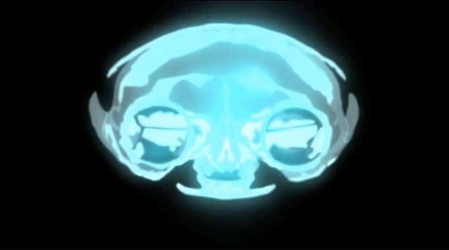 Family Guy al estilo de Hulk