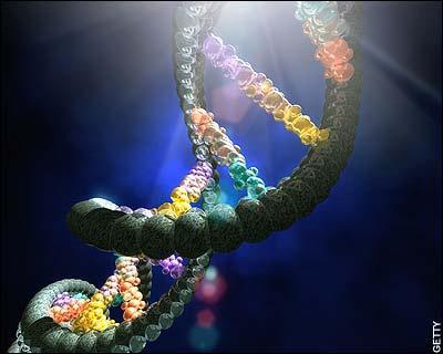 La asimetría de la vida puede proceder del espacio