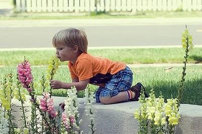 El olor de los recuerdos