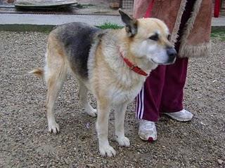 OSIRIS, necesita padrino, Proteger los inocentes