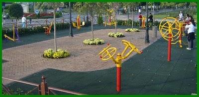 El 39% de los usuarios de gimnasios al aire libre no hacía ejercicio antes de conocerlos. Santiago.