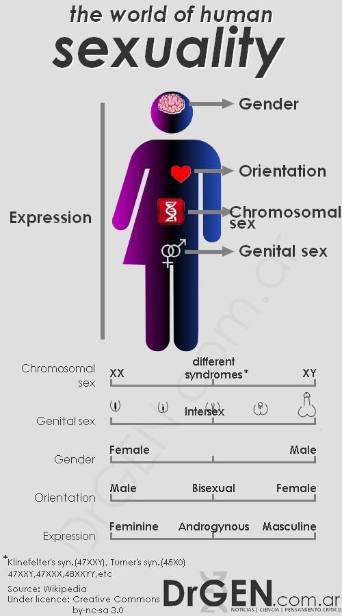 human sexuality infographic Human sexuality infographic