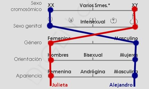 disforia de genero alejandro El mundo de la sexualidad humana y la disforia de género [Infografía]