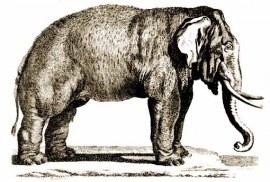 Los “Campos Elíseos” de Madrid