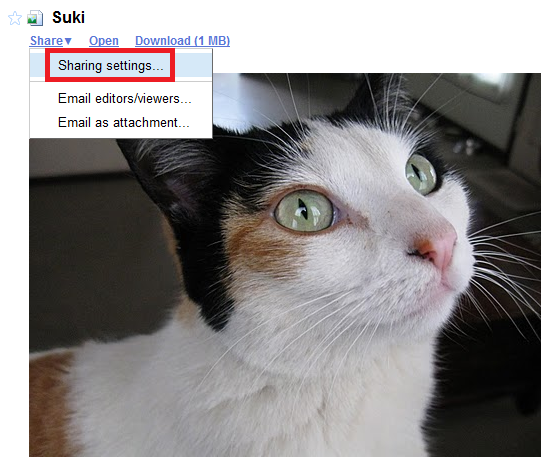 Comparte fotos y videos usando Google Docs