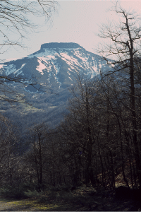 Frases para la historia VII