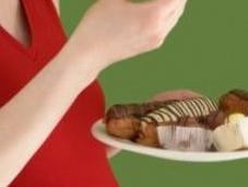 dieta pobre inicio embarazo puede perjudicar desarrollo cerebro feto