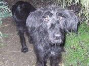 Olivia quedaban fuerzas