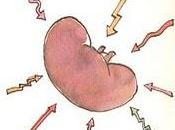 Sentimientos ante rechazo crónico injerto renal