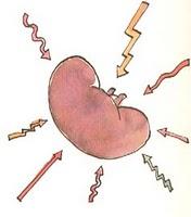 Sentimientos ante el rechazo crónico del injerto renal