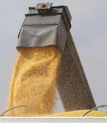 Se desploman los inventarios de maíz y soya en el planeta