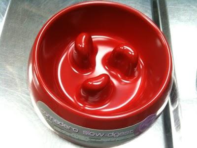 ¡ Novedad !  comederos para glotones