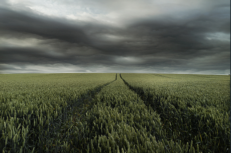 Sacha Waldman – Paisajes