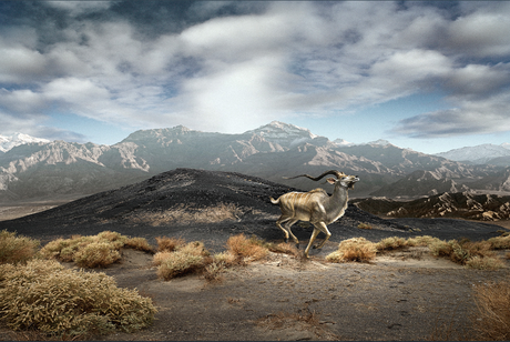 Sacha Waldman – Paisajes