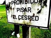 Diseños lúdicos, juegos jardín.