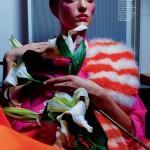 Dazed & Confused january