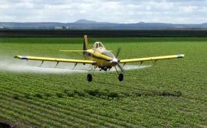 avioneta fumigando1 300x186 La contaminación en las frutas y verduras