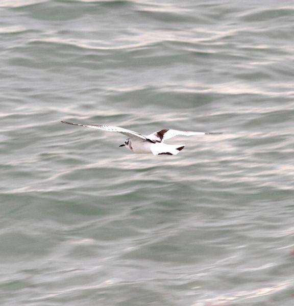 1ª DIA UN PASEO POR LA COSTA-WALK TO THE COAST