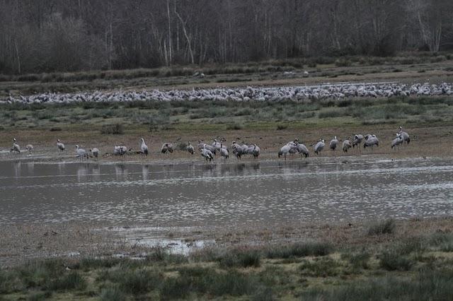 1ª DIA UN PASEO POR LA COSTA-WALK TO THE COAST