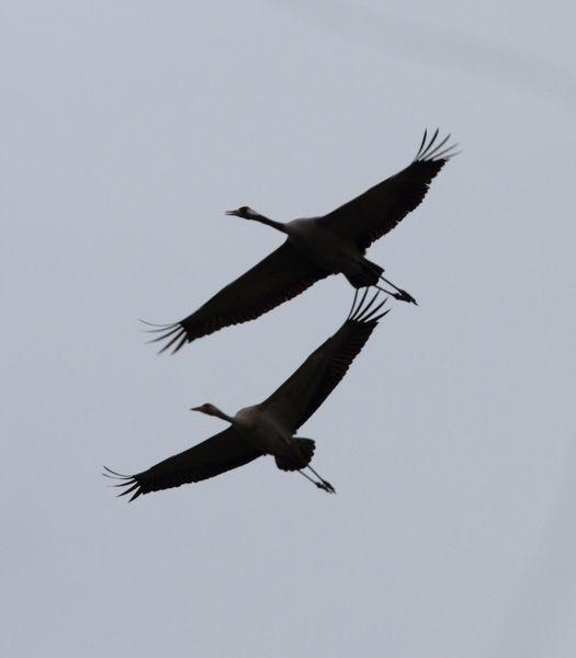 1ª DIA UN PASEO POR LA COSTA-WALK TO THE COAST