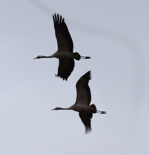 1ª DIA UN PASEO POR LA COSTA-WALK TO THE COAST
