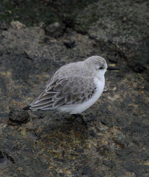 1ª DIA UN PASEO POR LA COSTA-WALK TO THE COAST