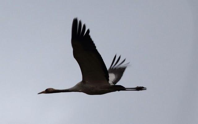 1ª DIA UN PASEO POR LA COSTA-WALK TO THE COAST