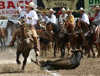 En Puerta la Copa Vallarta Millonaria de Charrería