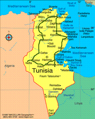 Túnez: Se fue el dictador. Pero ¿se quedará la dictadura?
