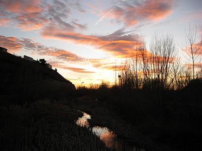 Un paseo al atardecer....