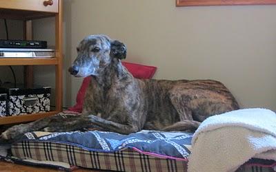 Un paseo al atardecer....