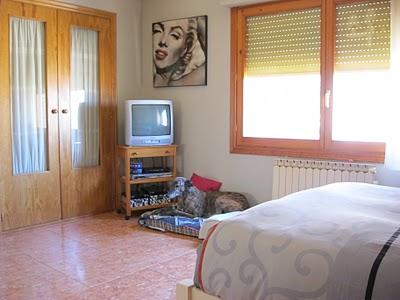 Un paseo al atardecer....