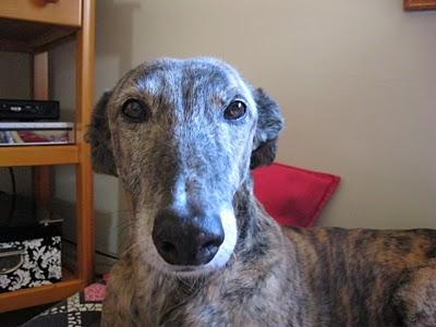 Un paseo al atardecer....