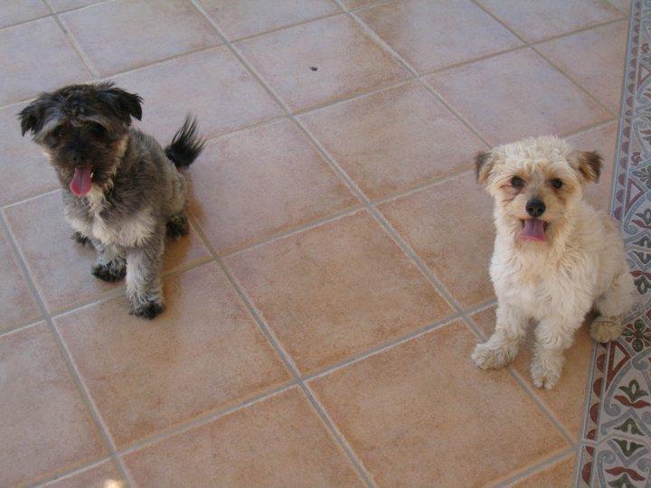 Dos hermanitos necesitan ayuda