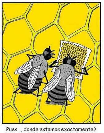 Humor: Abejas extraviadas contemplando un Plano de la colmena.