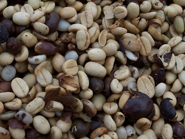 La Tierra respira a través de ausoles La Tierra respira a través de ausoles