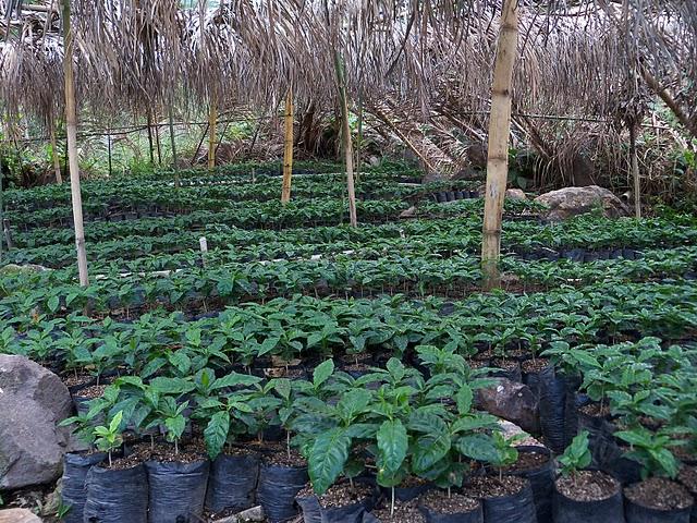 La Tierra respira a través de ausoles La Tierra respira a través de ausoles