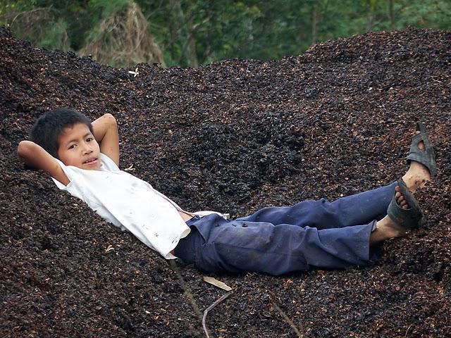 La Tierra respira a través de ausoles La Tierra respira a través de ausoles