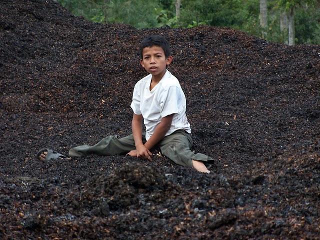 La Tierra respira a través de ausoles La Tierra respira a través de ausoles
