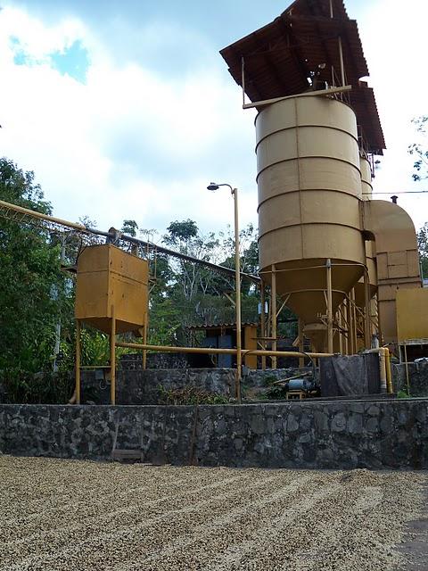 La Tierra respira a través de ausoles La Tierra respira a través de ausoles
