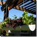 GutterGarden-oct41-150x150