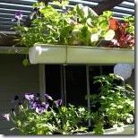 GutterGarden-howto21-150x150